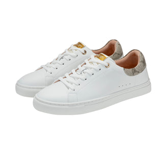 color:beige_ansicht:000000000000002_dokar:Z07_dokar-text:online inhalt